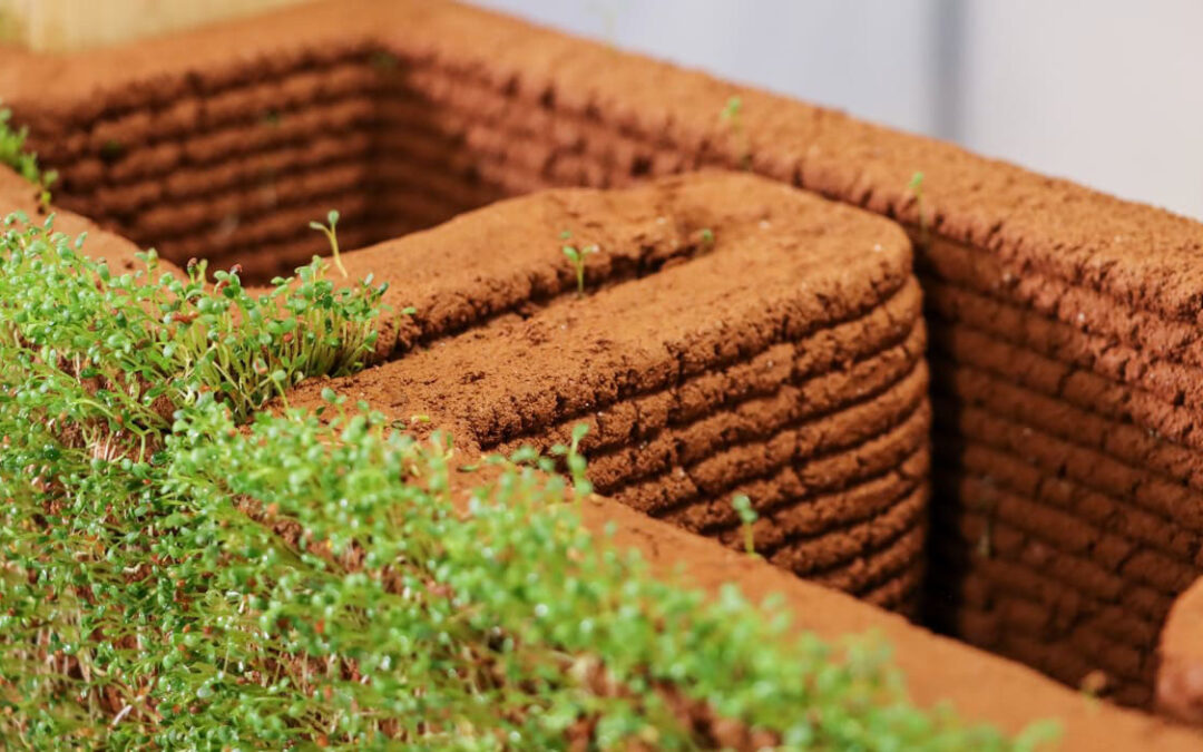 ‘Bioconstruction’ will build homes out of flowering, 3D-printed dirt