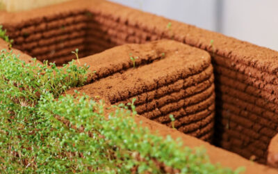 ‘Bioconstruction’ will build homes out of flowering, 3D-printed dirt