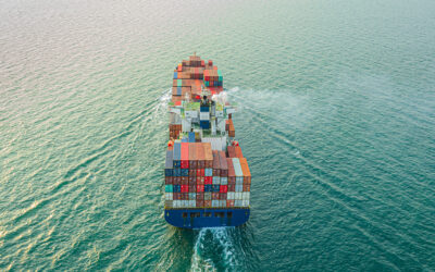 How to Improve Supply Chain Transparency