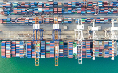 How to Prepare Your Supply Chain for The Next Disruption