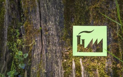 Decarbonizing Light Manufacturing Industries in a Pinch