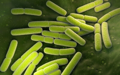 Bath Uni team creates antimicrobial 3D printed materials